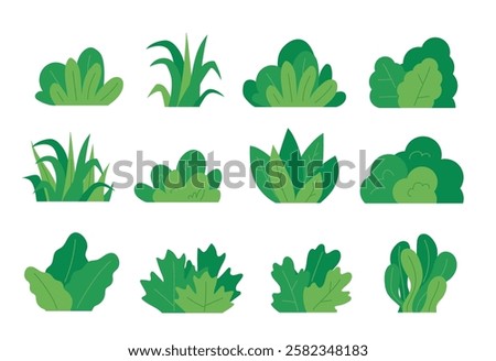 Green bush blossom. grass bush vector illustration