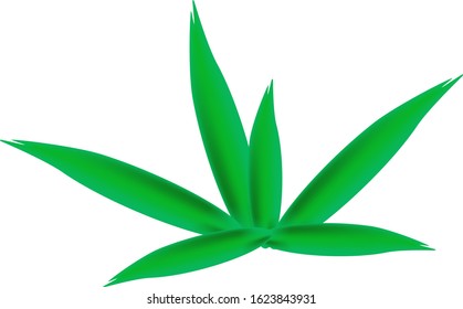 green bush, consists from big and small leaves on the white background