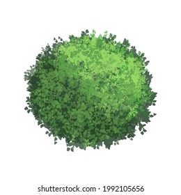 Green bush. Decorative bushes. Bush top view. Vector illustration.