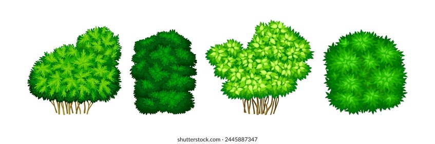 Green Bush of Different Shape as Park Element Vector Set