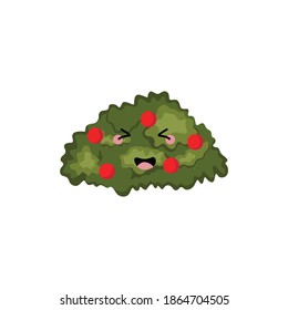 The green bush with its fruit looks happy