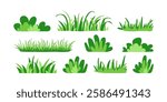 Green bush grass, forest tree and plant, cartoon garden icon. Park, leaf, lawn. Meadow and landscape, abstract field, cute foliage set isolated on white background. Nature simple vector illustration