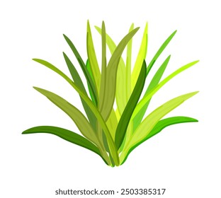 Green bush. Grass. Long fresh leaves. Vector isolated illustration.