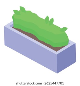 Green bush growing in a concrete flower box, gardening and landscaping concept