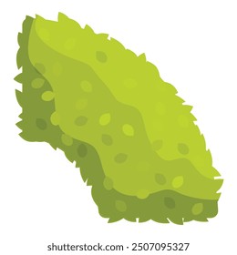 Green bush growing with leaves forming a triangle shape, element for landscape design