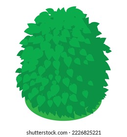 Green bush icon isometric vector. Natural green decorative shaped shrub icon. Gardening, landscaping element