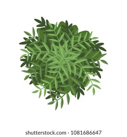Green bush, landscape design element, top view vector Illustration on a white background