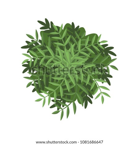 Green bush, landscape design element, top view vector Illustration on a white background