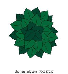 Green bush of leafs pattern