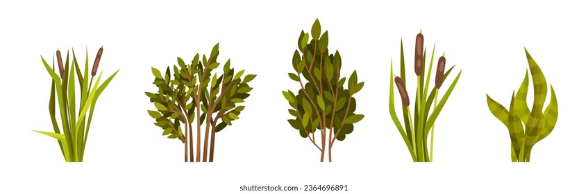 Green Bush with Leafy Stem as Outdoor Growth Vector Set