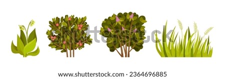Green Bush with Leafy Stem as Outdoor Growth Vector Set