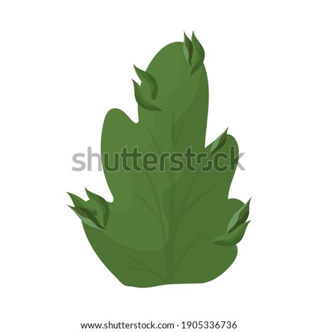 green bush on a white background vector illustration design
