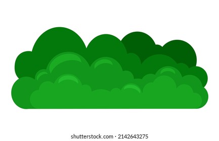  Green bush on a white isolated background. Decorative shrub for the design of a park, garden or green fence.Vector illustration