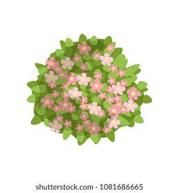 Green bush with pink flowers, landscape design element, top view vector Illustration on a white background