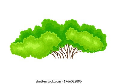 Green Bush or Shrub with Leafy Crown as Forest Element Vector Illustration