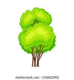 Green Bush or Shrub with Leafy Crown as Forest Element Vector Illustration
