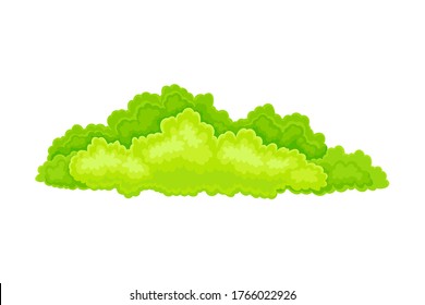 Green Bush or Shrub with Leafy Crown as Forest Element Vector Illustration