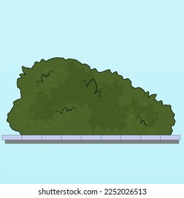 green bush with small leaves, outdoor plant, lush, contour stroke, vector illustration