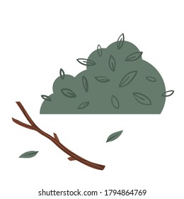 Green bush, thickets. Branch and leaves. Vector illustration.