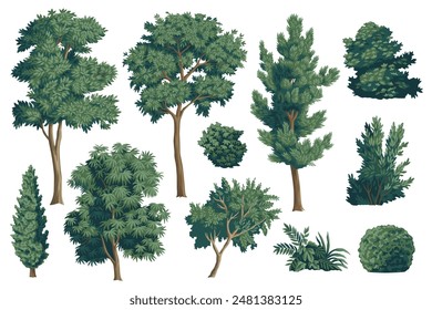 Green bush, tree clip art. Greenery botanical set.	