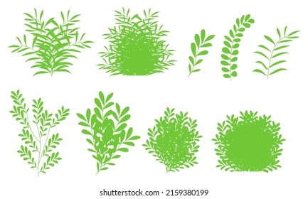 green bush, tree bush silhouette