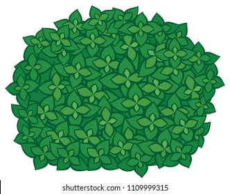 green bush vector illustration