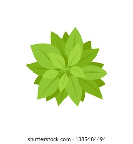 Green bush. View from above. Vector illustration.