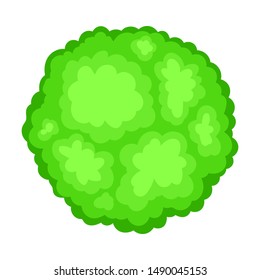 Green bush. View from above. Vector illustration on a white background.