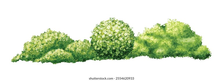 ilustração aquarela arbusto verde sobre fundo branco. aquarela pintura botânica jardim vetor elemento, decoração adequada para paisagem e arquitetura, ou fundo de desenho animado.