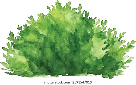 Green Bush Watercolor Painting vector illustration