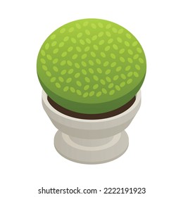 Green bush in white outdoor pot 3d isometric icon vector illustration