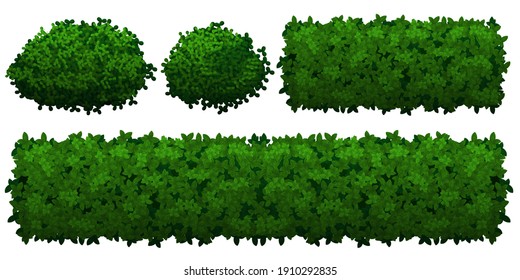 Green bushes of different shapes, isolated on white background. Bushy bushes and fencing isolated on white background. Vector illustration