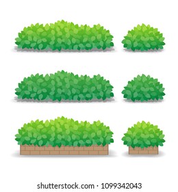 Green bushes isolated on white background, outdoor potted plants. Vector Illustration.