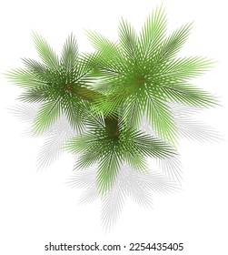 Green bushes for landscape plan. Plants top view