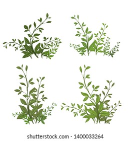 Green bushes, leaves. Vector. Illustration on white background, bushes