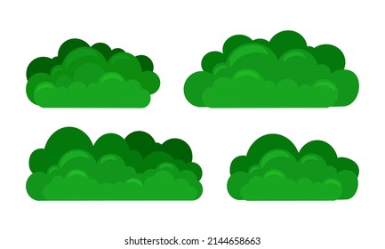  Green bushes set on a white isolated background. Decorative shrub for the design of a park, garden or green fence