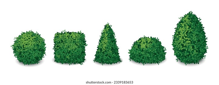 Green bushes in shape of geometrical figures realistic set isolated vector illustration