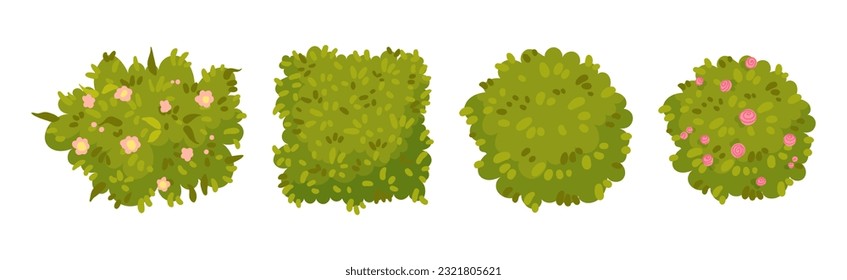 Green Bushes and Shaped Shrubs as Decorative Park Flora Vector Set