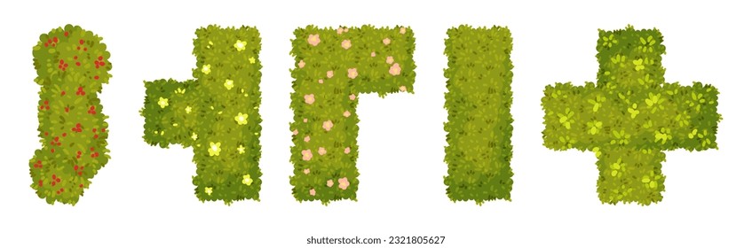 Green Bushes and Shaped Shrubs as Decorative Park Flora Vector Set