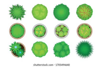 Green Bushes and Shrubs for Landscape Gardening and Design Vector Set