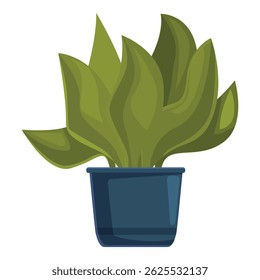 Green bushy house plant growing in blue pot, isolated on white background