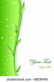 Green business card