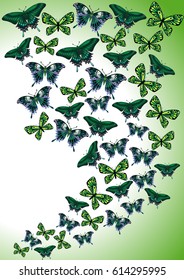 Green butterflies. Abstract background