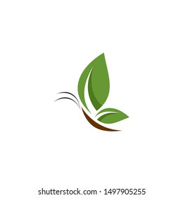 green butterfly with leaf logo. green leaf eco logo template - vector