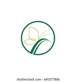 green butterfly logo