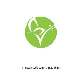 Green butterfly logo design 