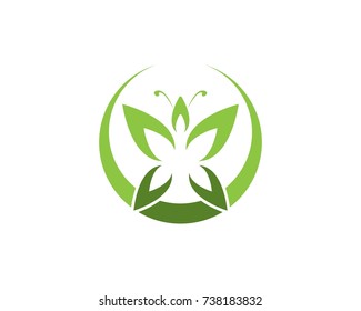 Green butterfly logo design template