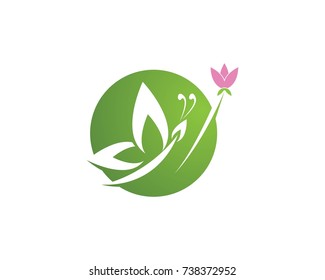 Green butterfly logo design template