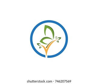 Green butterfly logo design template