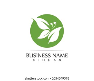 Green butterfly logo design vector